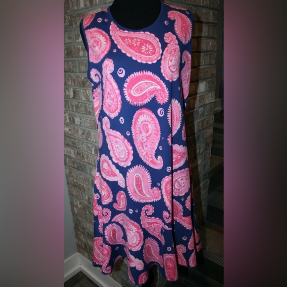 NWT Pink and Navy Blue Paisley Dress by Ana Clare